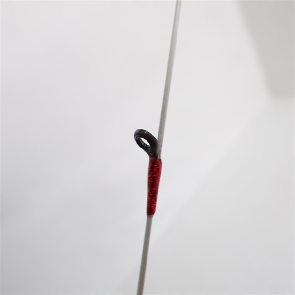 ２３セフィアＢＢティップエギングＲ－Ｓ６６ＭＬ－Ｓ